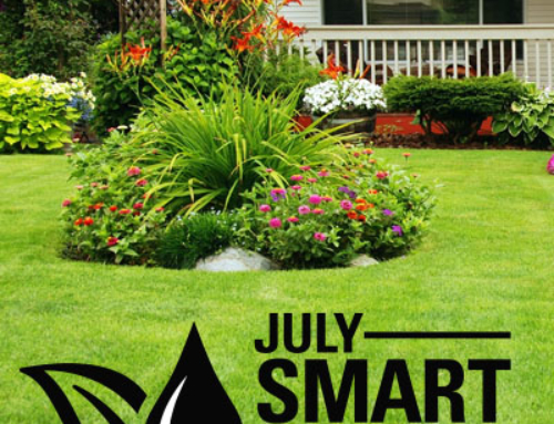 JULY IS SMART IRRIGATION MONTH